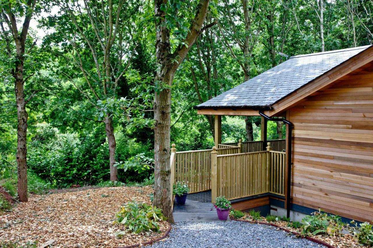 Cedar Lodge, South View Lodges, Exeter Exterior foto